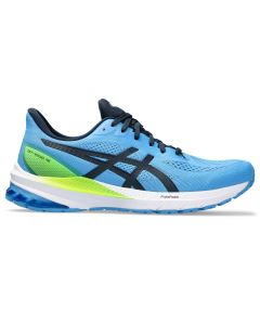 Asics GT-1000 12 Men waterscape/french blue