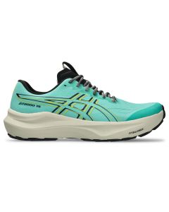 Asics GT-2000 seitliche Ansicht