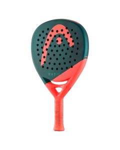 Head Radical Motion 2026