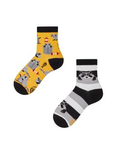 Many Mornings Raccoon Bandit Kids